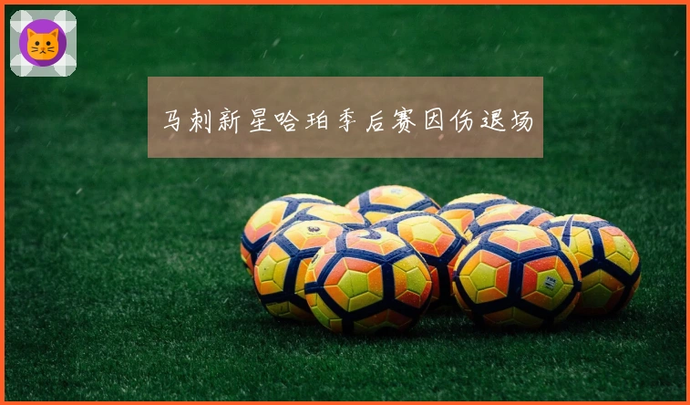 马刺新星哈珀季后赛因伤退场