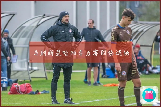 马刺新星哈珀季后赛因伤退场